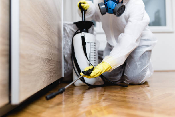 Best Pest Prevention Services  in Wetumka, OK