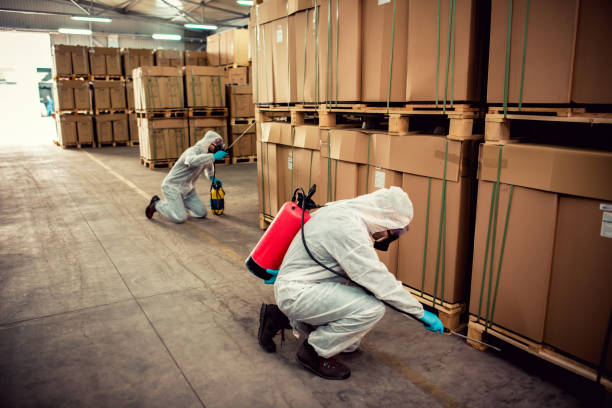 Professional Pest Control in Wetumka, OK