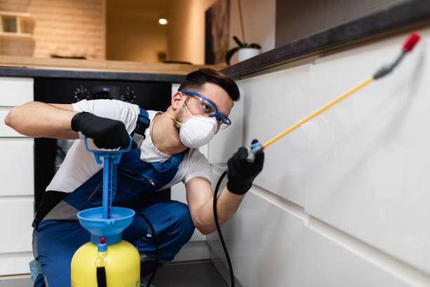 Best Pest Removal Services  in Wetumka, OK