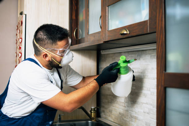 Best Cockroach Control Services  in Wetumka, OK