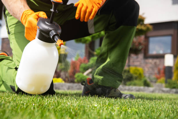 Best Wasp Removal Services  in Wetumka, OK