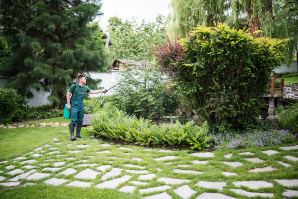 Best Best Pest Control Companies  in Wetumka, OK