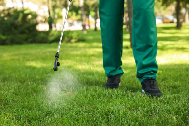 Best Affordable Pest Control Services  in Wetumka, OK