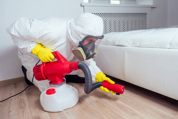 Best Local Pest Control Services  in Wetumka, OK