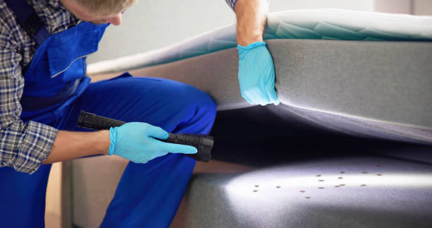 Best Best Pest Control Companies  in Wetumka, OK