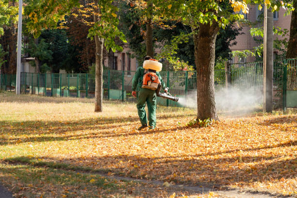 Best Pest Removal Services  in Wetumka, OK