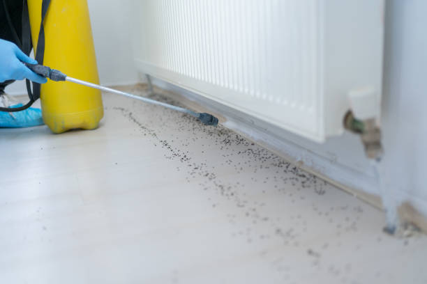 Best Insect Control  in Wetumka, OK